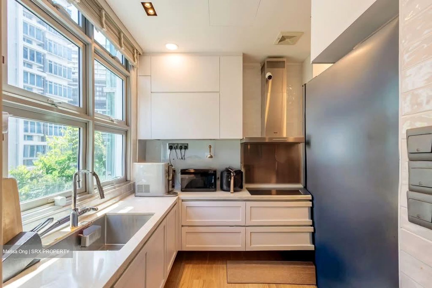 Orchard Road (D9), Condominium #581306621
